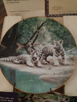 Tiger Collector Plate