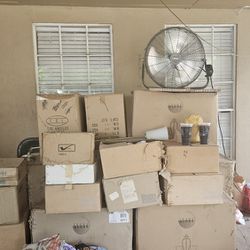 Everything  Must Go All Cheap Light FIXTURES  Everything  $100 