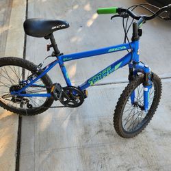 20 Inch Kids Bike