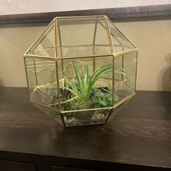 Large Geometric Octagon Glass Terrarium Brass Detail 