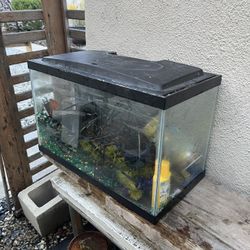 10-Gallon Glass Aquarium Starter Kit – Filter, LED Lights, Air Riser, Accessories (Tested & Working)  ⸻  Description  Medium-size glass aquarium start