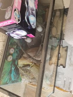 Reptile tank