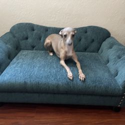 La-Z Boy Dog Couch