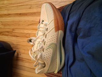 Nike zoomx