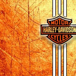 T Shirts By Design Print On Demand