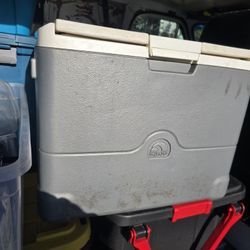 Cooler With Built In Cooling System