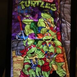 Ninja turtles sleeping bag