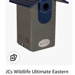 Birds house 