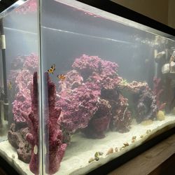 LED Fish Tank Light Fixture 