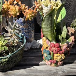 Succulents For Sale $5, 10, 20!