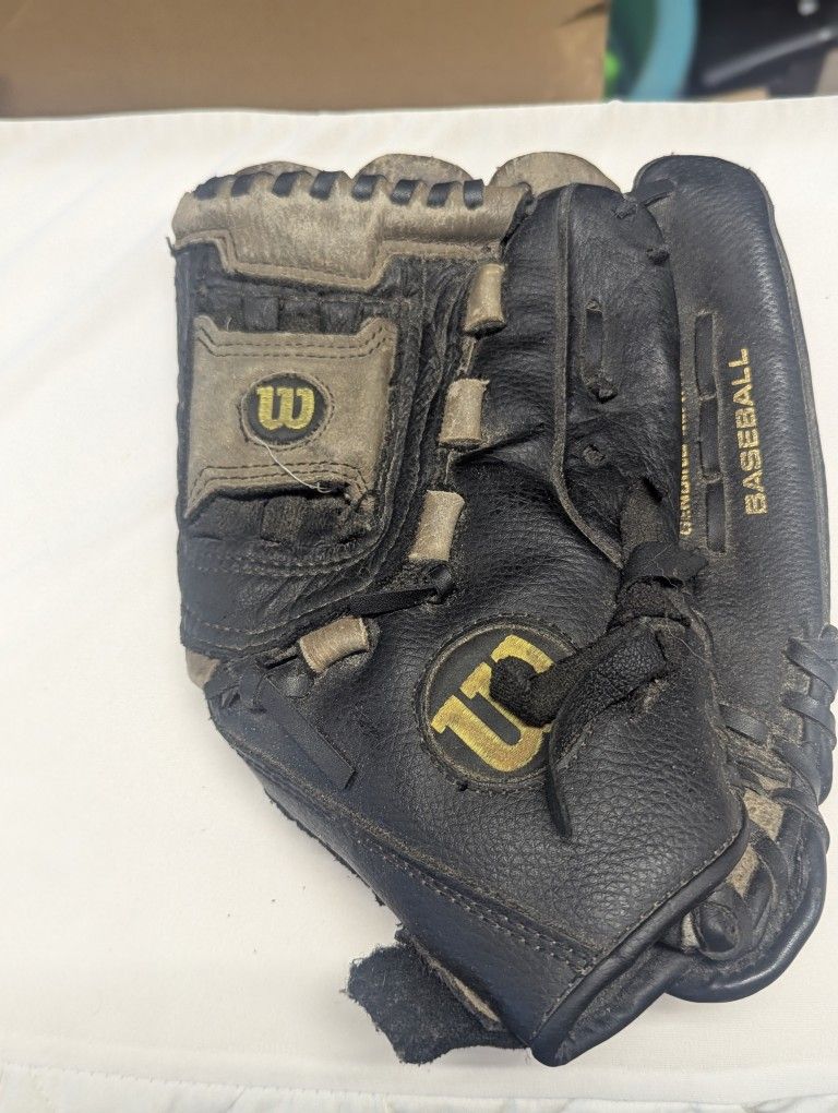 Baseball Glove