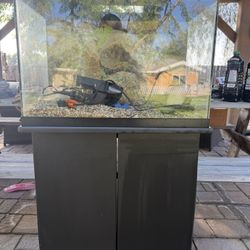 20 Gallon Fish Tank And Stand 