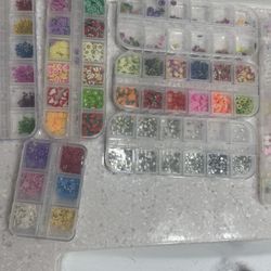 Hand-Made Multicolor 3D Nail Art Charms, Rhinestones & Dry Flowers Set