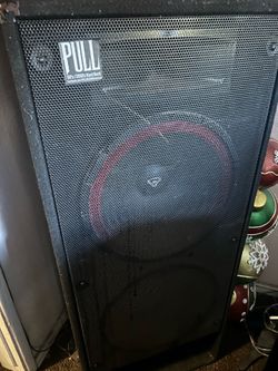 Cerwin-Vega 15 ‘  house speakers