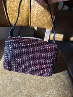 alexanderwang Q heiress pouch in crystal mesh