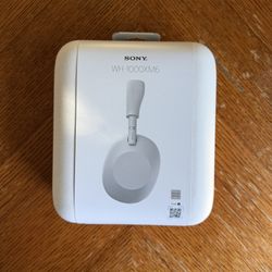 Sony WH-1000XM6 Platinum Silver