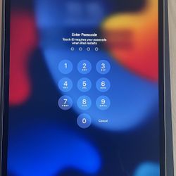 iPad Pro 64GB Wi-Fi / Cellular Mint Condition With Extras