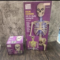 12 Ft Skeleton Skelly LED Home Accents Holiday Lighting Kit / Eye Kit 8 Function