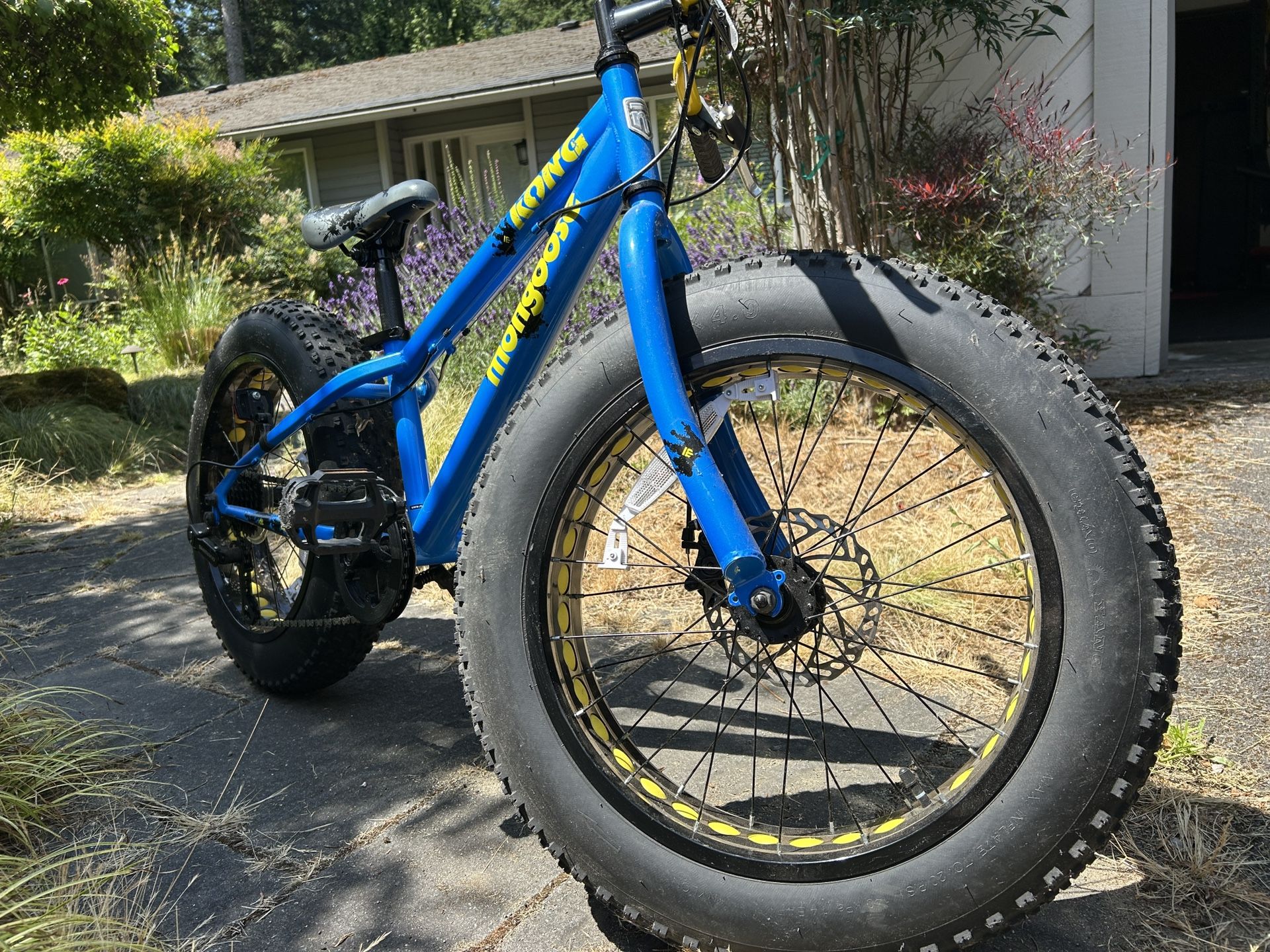 Kong Fat Tire Mountain Bike for Kids