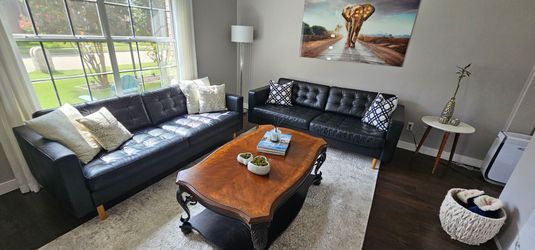 Modern leather couches