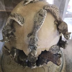 Sergio Bustamonte Egg