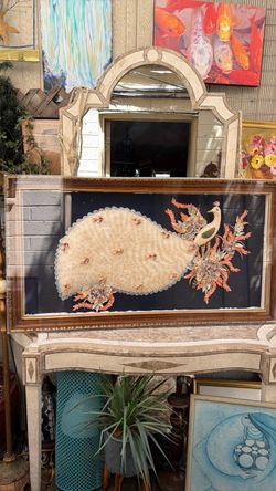 Mid Century custom main sea shell, large shadowbox, beautiful peacock