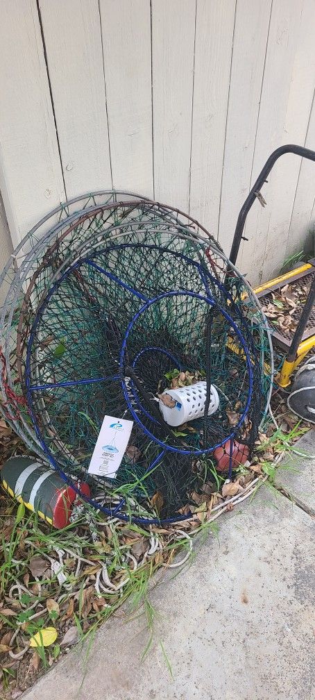 Lobster Nets