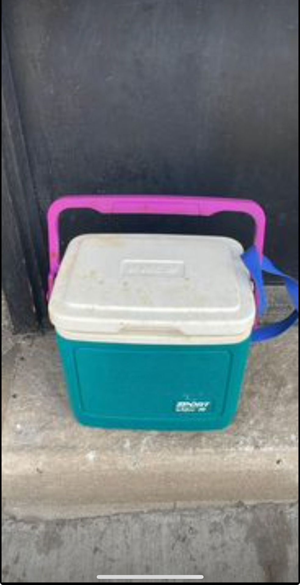 Igloo Cooler