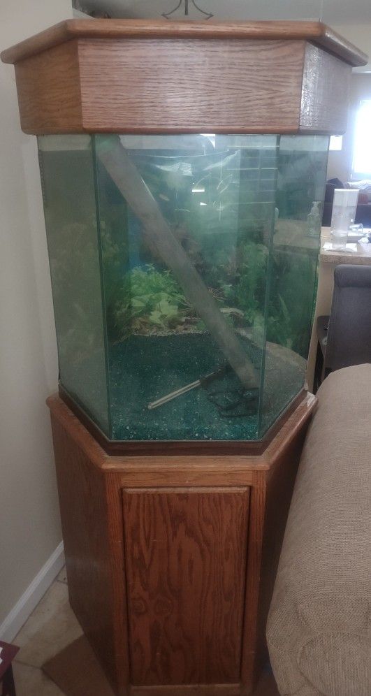 Octagon Fish Tank Aquarium