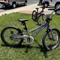 Specialized 20 Inch Girls BMX