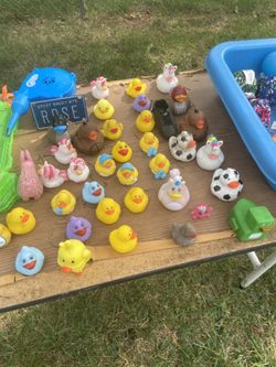 Rubber Ducks
