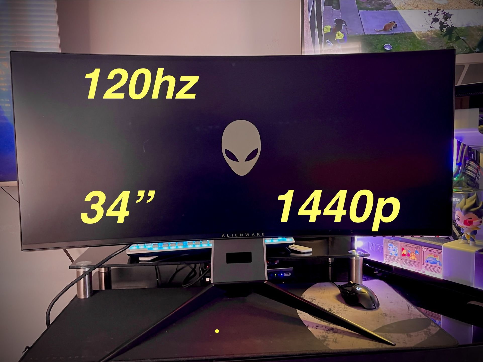 Alienware 34” UltraWide Gaming Monitor 120Hz 🖥️🕹️ 1440p Resolution 2K