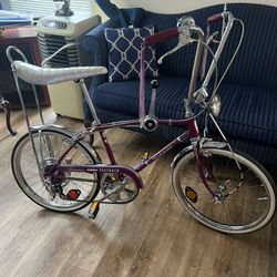 Schwinn Fast Back Stingray’s 5 Speed Mint Condition 