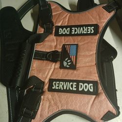 Dog Harness