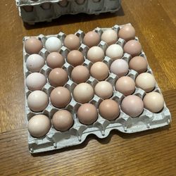  Chiken Eggs For Sale