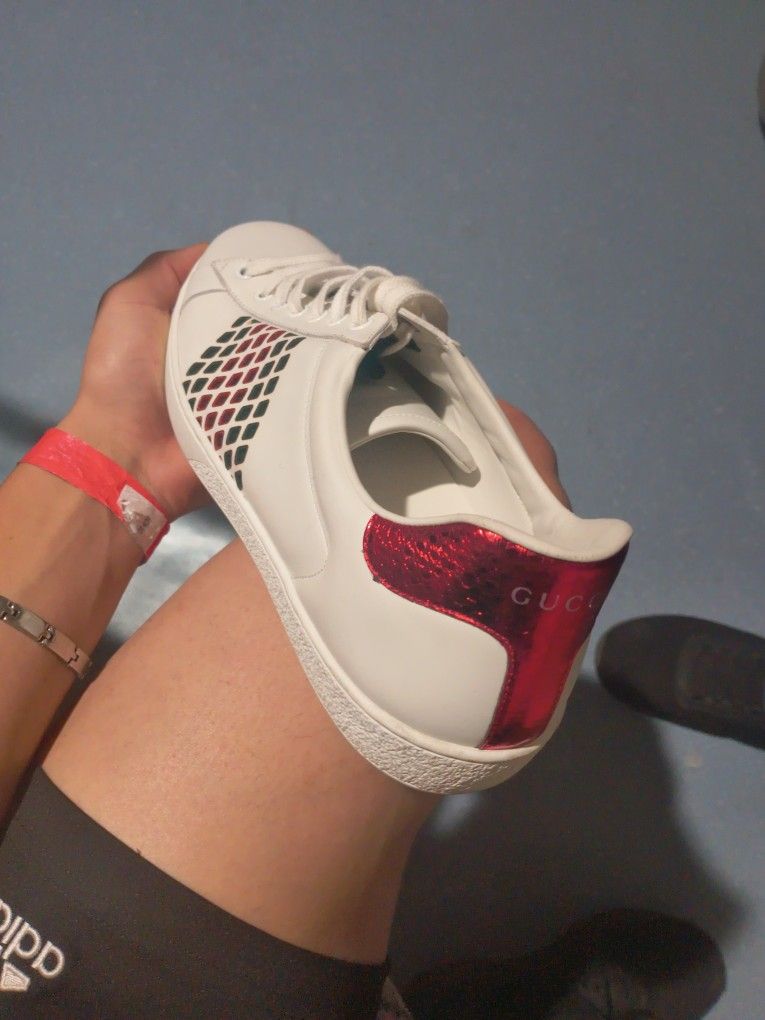 Gucci Shoes