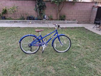 Schwinn Big Kids Bike