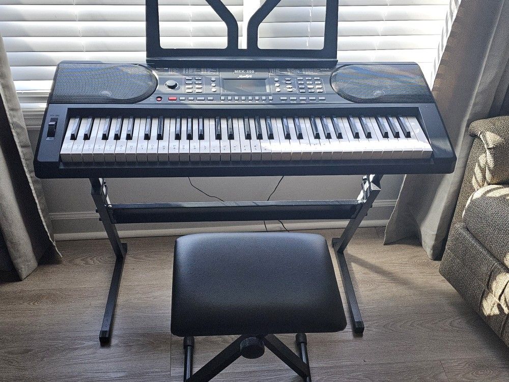 Monkey Electric Keyboard Piano