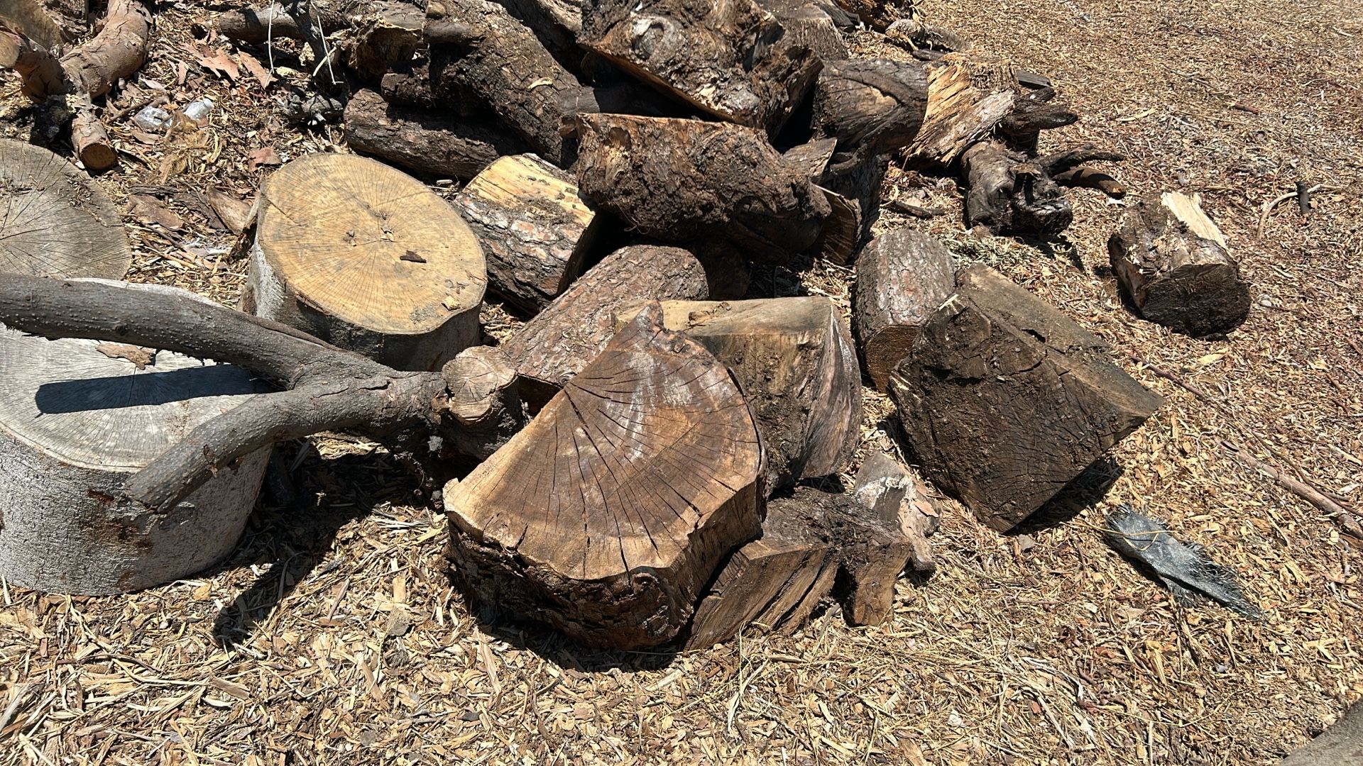 Firewood