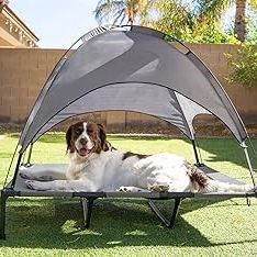 48in Elevated Cooling Dog Bed, Outdoor Raised Mesh Pet Cot w/ Removable Canopy, Carrying Bag - Gray