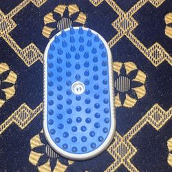 Viral Cat steam brush!