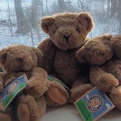 3 Vermont Teddy Bears In Box