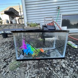 Medium Fish Tank/ Fish Keeping Equipment.