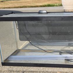 Aquarium With Heater