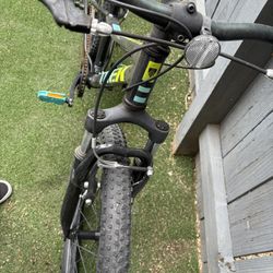 Trek bike
