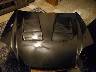 Carbon fiber hood