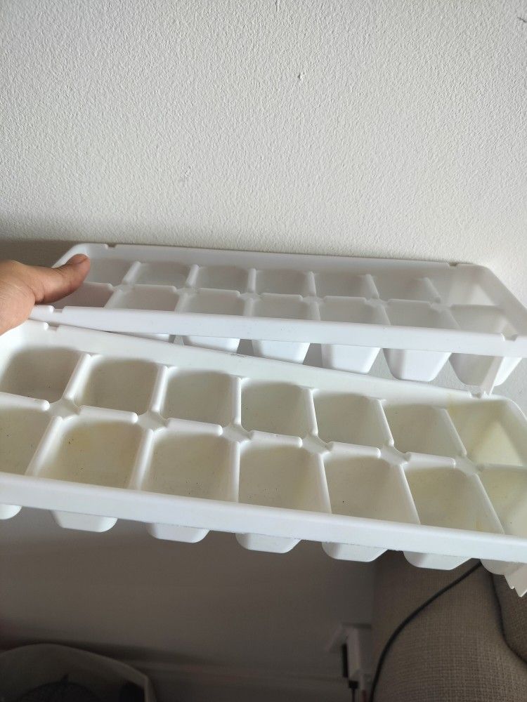 Ice Cube Trays