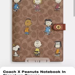 Coach X Peanuts Collection 