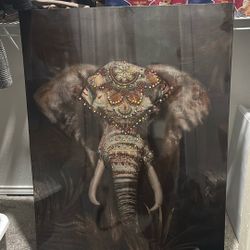 Elephant Wall Canvas  