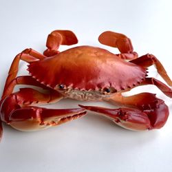 2 Crab Model for Home Decor, Restaurant Display, Stage Drama & Photography Prop 6/9 Inch 